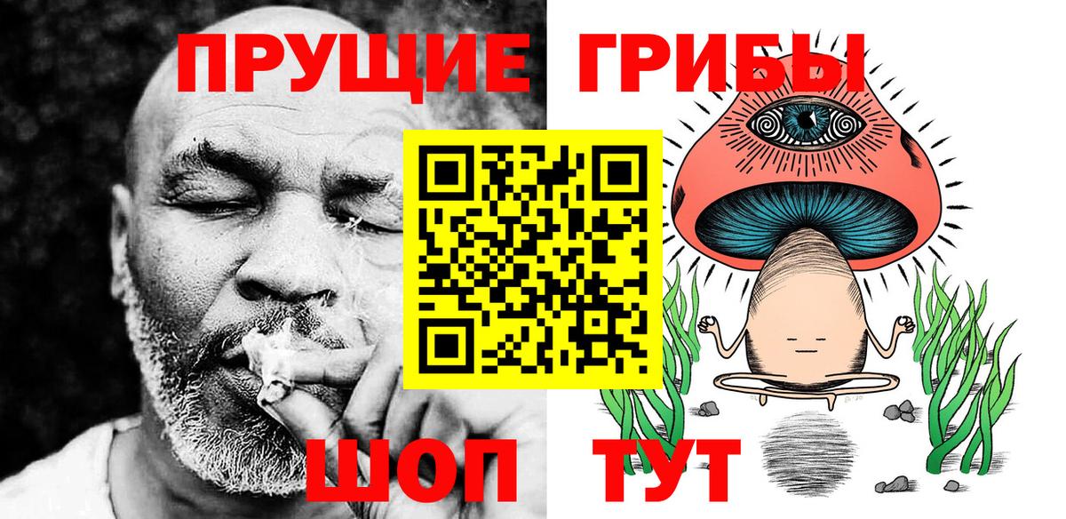 Псилоцибиновые грибы мицелий Чехов
