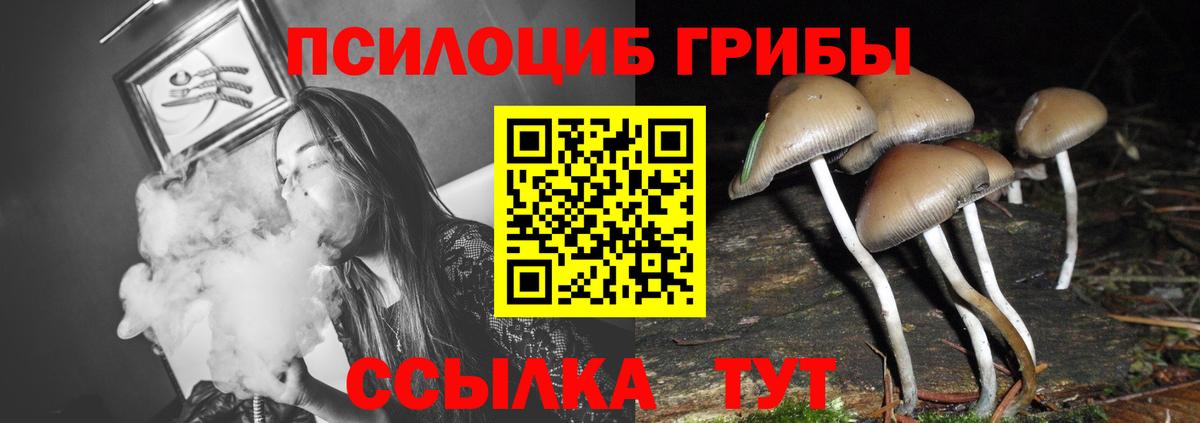 Галлюциногенные грибы Psilocybe  где купить   Чехов  Вход с VPN 